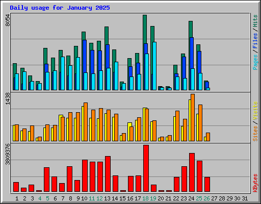 Daily usage for January 2025