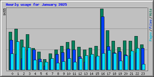 Hourly usage for January 2025