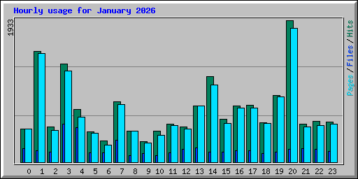 Hourly usage for January 2026